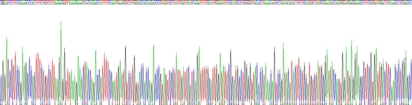 Recombinant Peptidylglycine Alpha Amidating Monooxygenase (PAM)