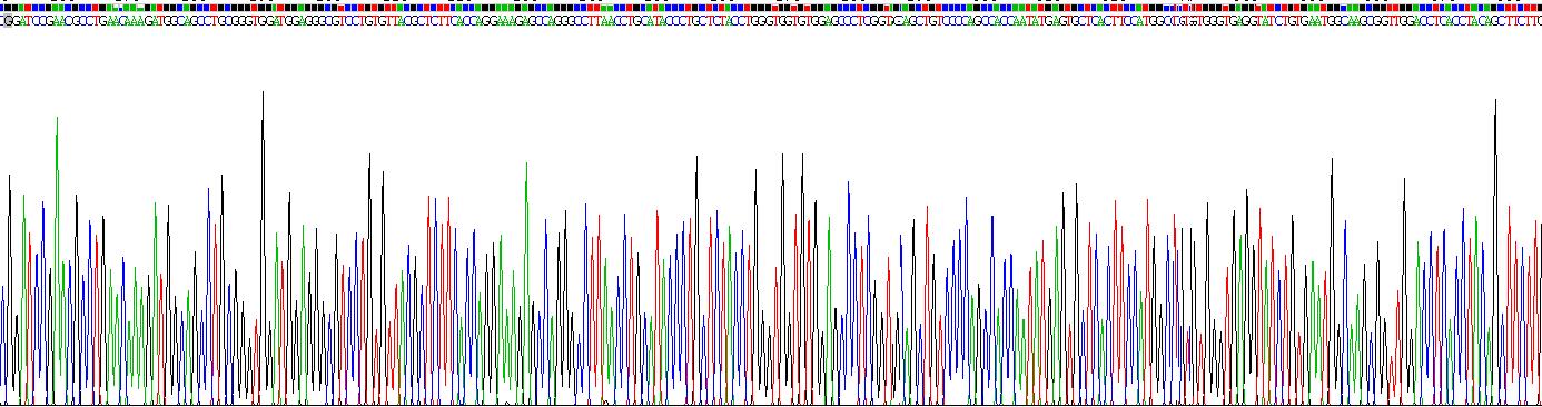 Recombinant Heparan Sulfate Proteoglycan 2 (HSPG2)