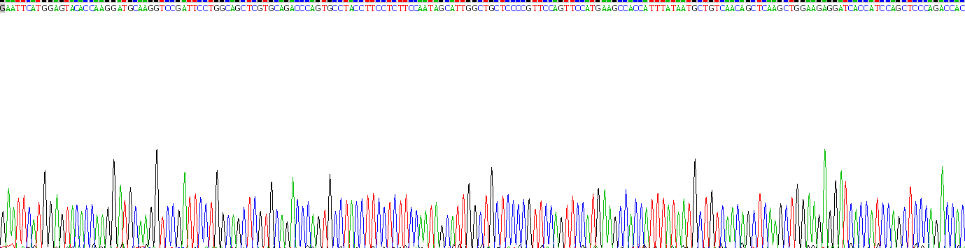 Recombinant Reelin (RELN)