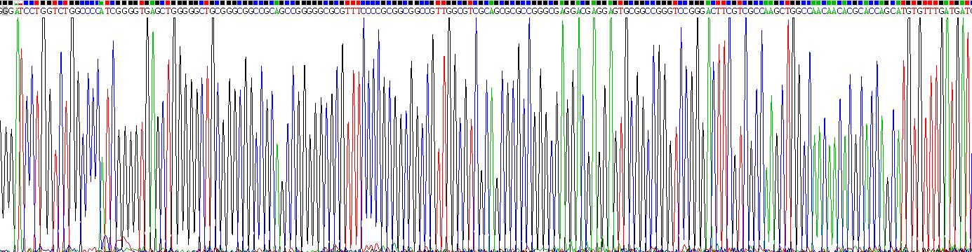 Recombinant Sortilin 1 (SORT1)