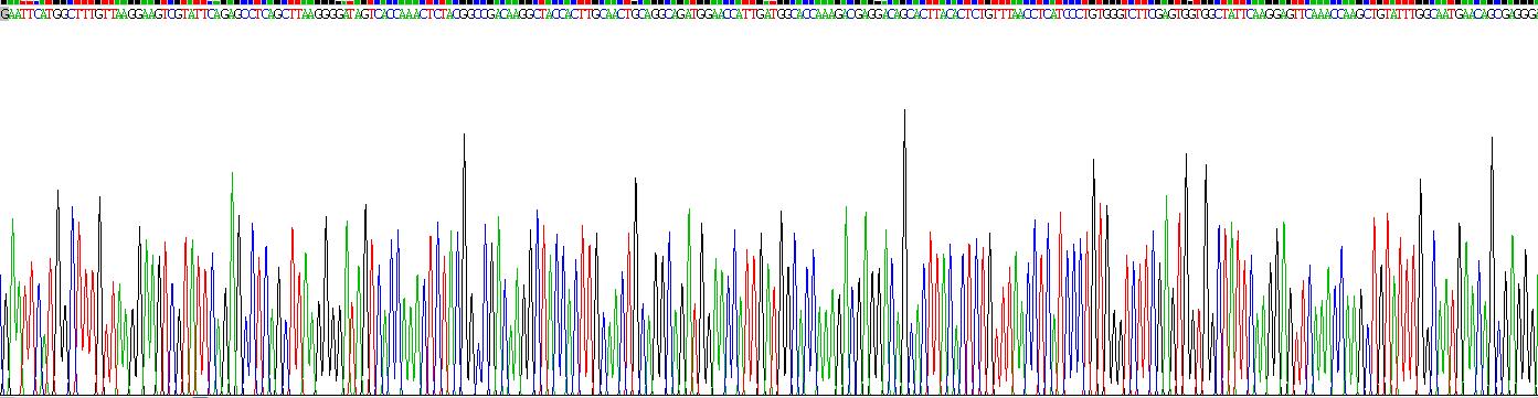 Recombinant Fibroblast Growth Factor 13 (FGF13)