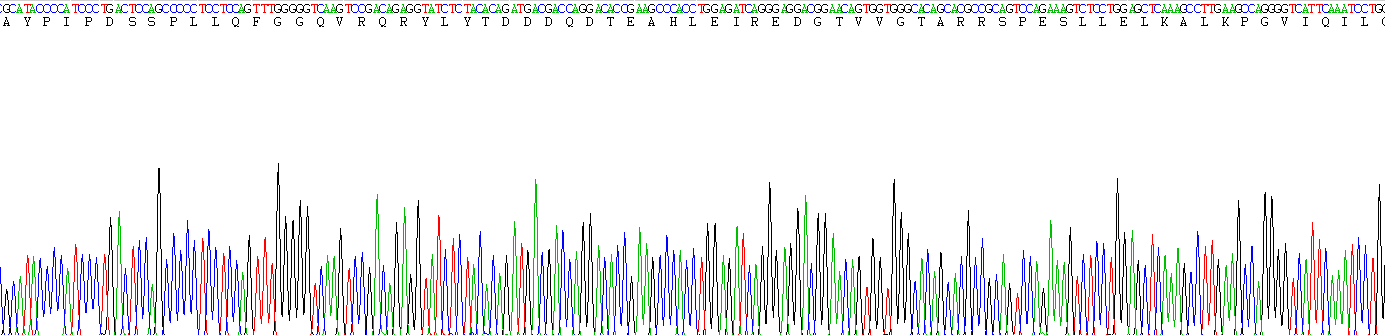 Recombinant Fibroblast Growth Factor 21 (FGF21)