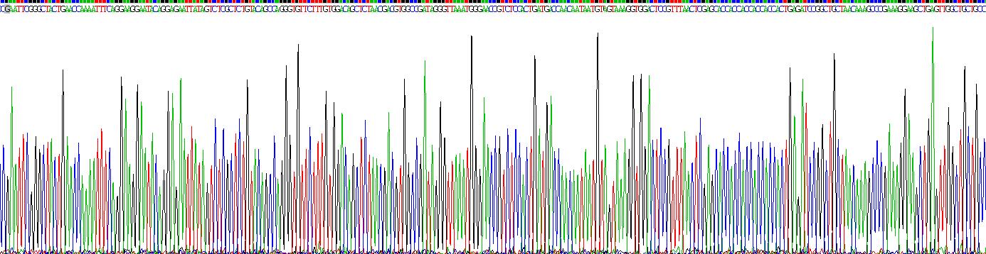 Recombinant Melatonin Receptor 1A (MTNR1A)