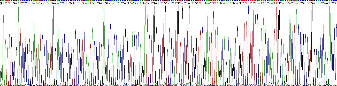 Recombinant Free Fatty Acid Receptor 2 (FFAR2)