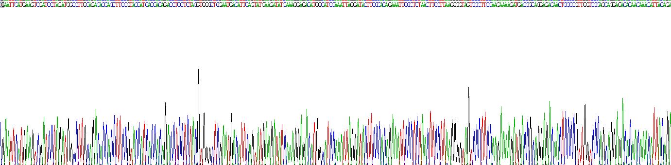 Recombinant Cannabinoid Receptor 1, Brain (CNR1)