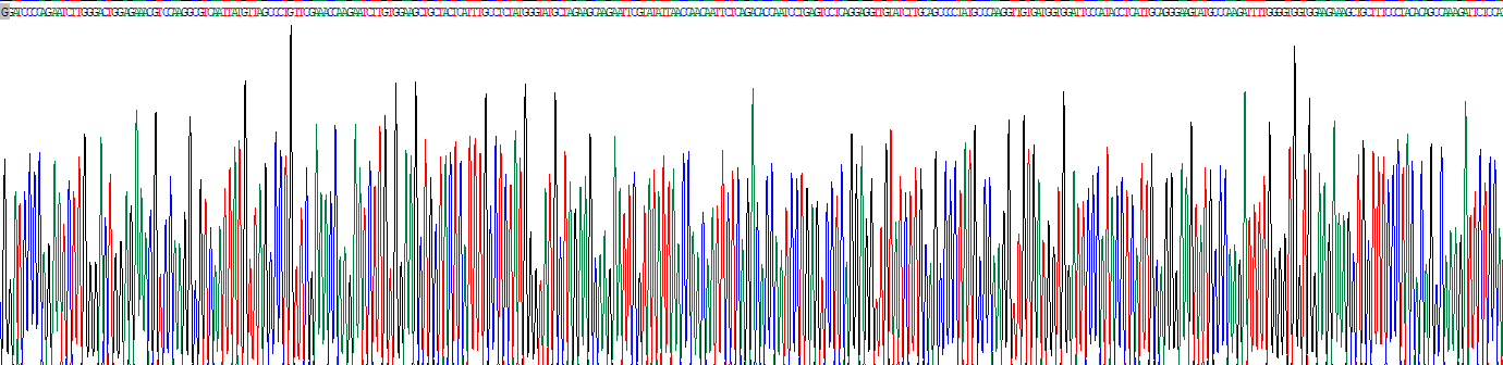 Recombinant Cathepsin C (CTSC)