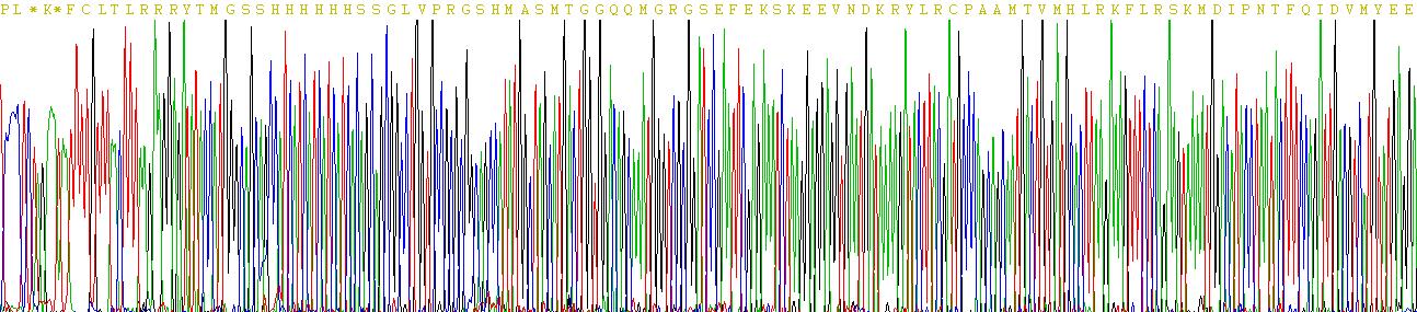 Recombinant Carcinoembryonic Antigen Related Cell Adhesion Molecule 1 (CEACAM1)