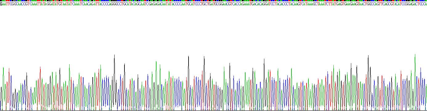 Recombinant Carcinoembryonic Antigen Related Cell Adhesion Molecule 8 (CEACAM8)