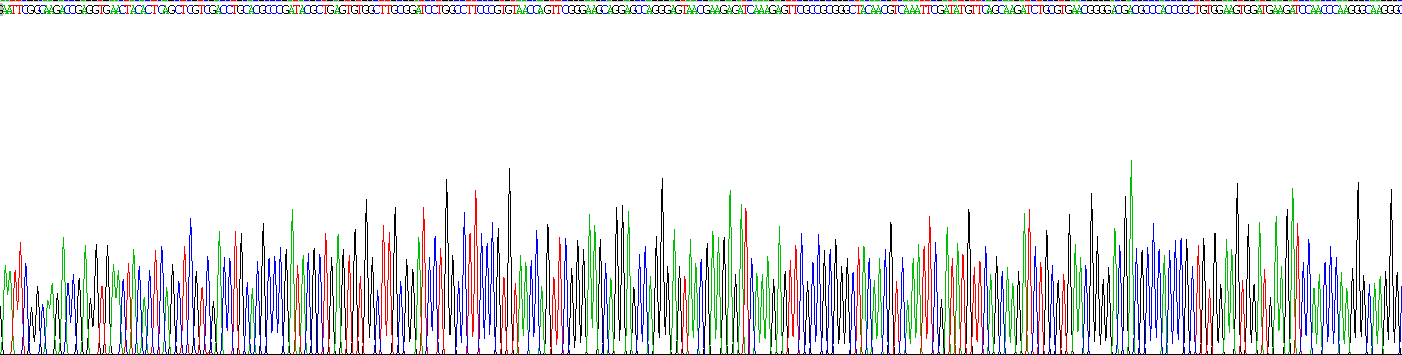 Recombinant Glutathione Peroxidase 4 (GPX4)