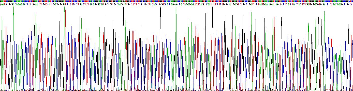 Recombinant Neuropilin 2 (NRP2)