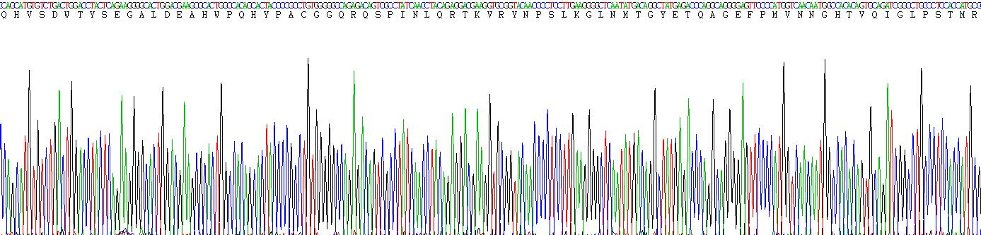 Recombinant Carbonic Anhydrase VI (CA6)