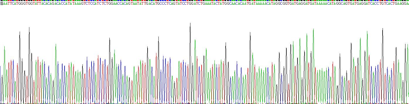 Recombinant T-Cell Surface Glycoprotein CD3 Epsilon (CD3e)