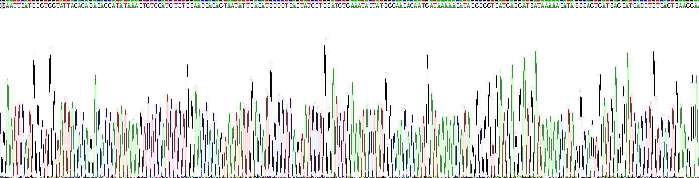 Recombinant T-Cell Surface Glycoprotein CD3 Epsilon (CD3e)