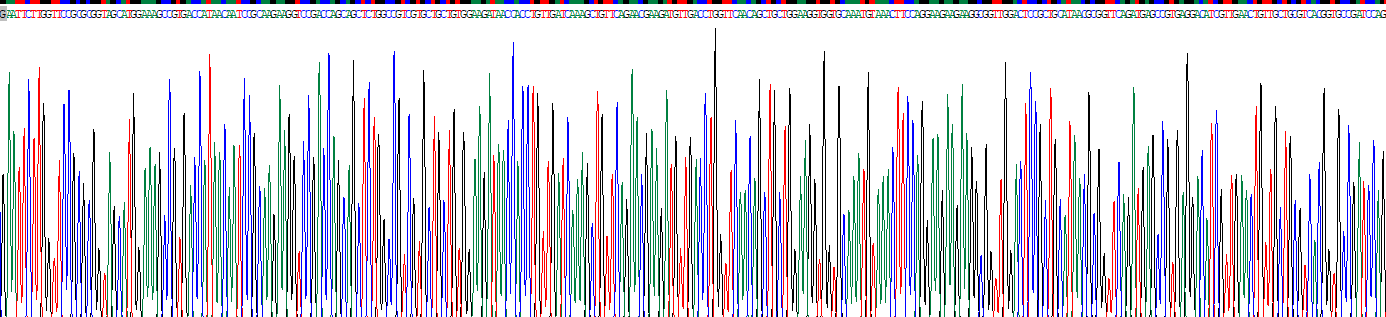 Recombinant Ribonuclease L (RNASEL)