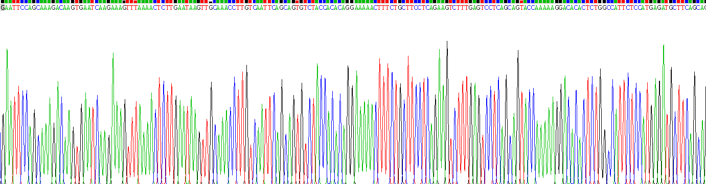 Recombinant Interferon Epsilon (IFNe)