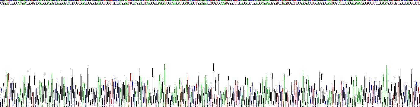 Recombinant Collagen Type III Alpha 1 (COL3a1)