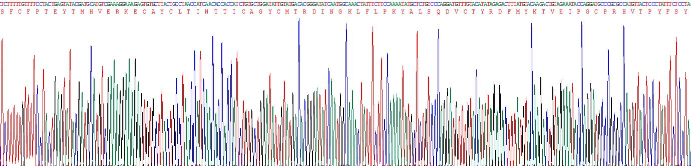 Recombinant Thyroid Stimulating Hormone Beta (TSHb)