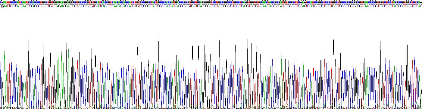 Recombinant Chorionic Gonadotropin Beta Polypeptide (CGb)
