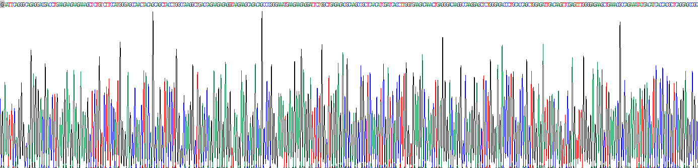 Recombinant Troponin T Type 3, Fast Skeletal (TNNT3)