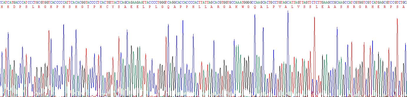 Recombinant Interleukin 17C (IL17C)