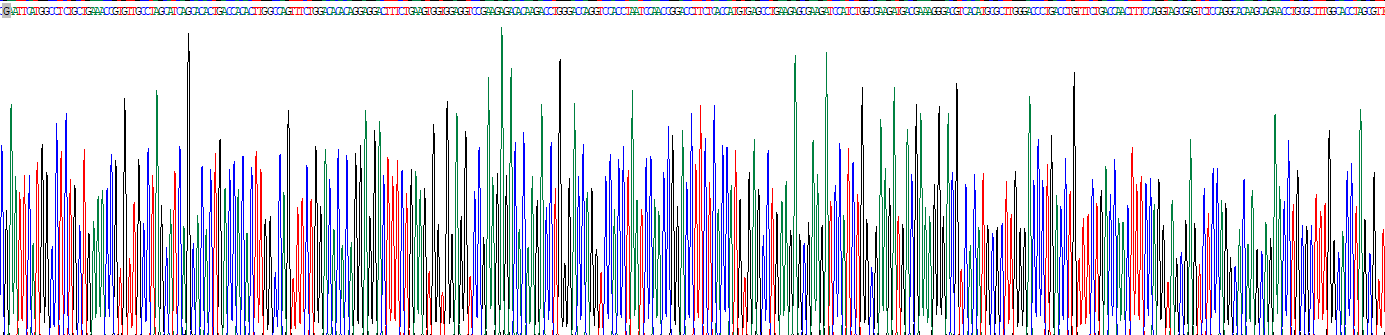 Recombinant Kruppel Like Factor 1, Erythroid (KLF1)