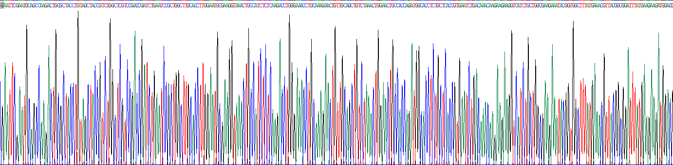 Recombinant Proenkephalin (PENK)