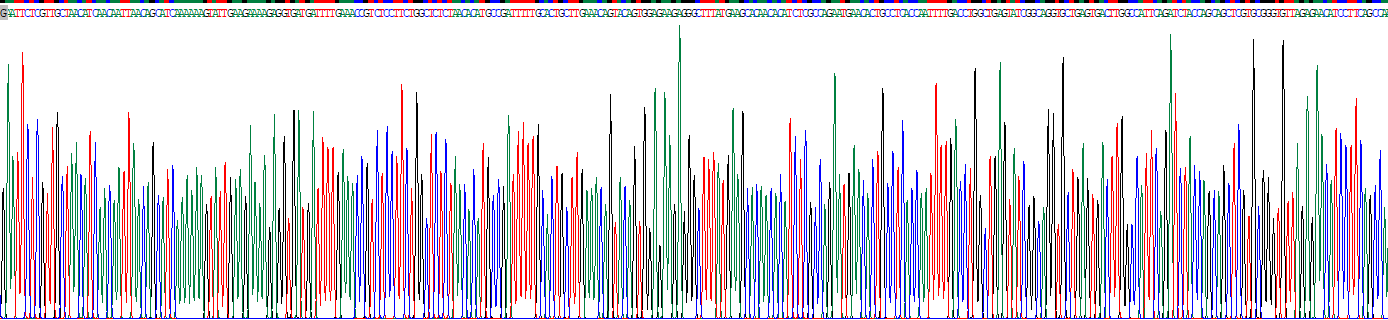Recombinant Myosin VA (MYO5A)