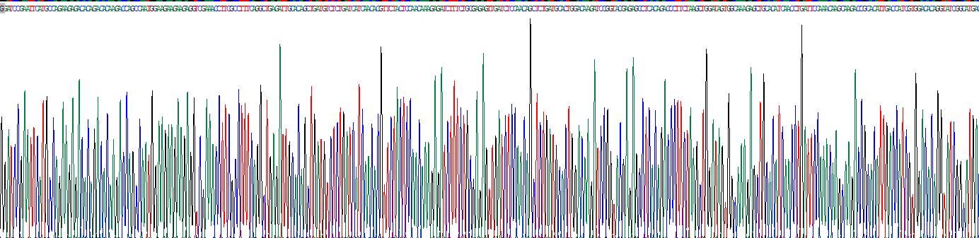 Recombinant Heat Shock Protein 90kDa Alpha A1 (HSP90aA1)
