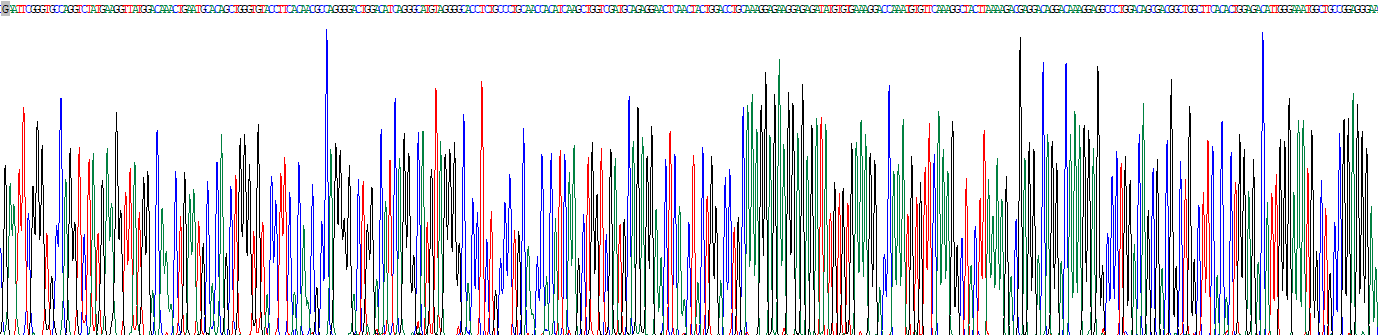 Recombinant Acyl Coenzyme A Synthetase Long Chain Family, Member 6 (ACSL6)