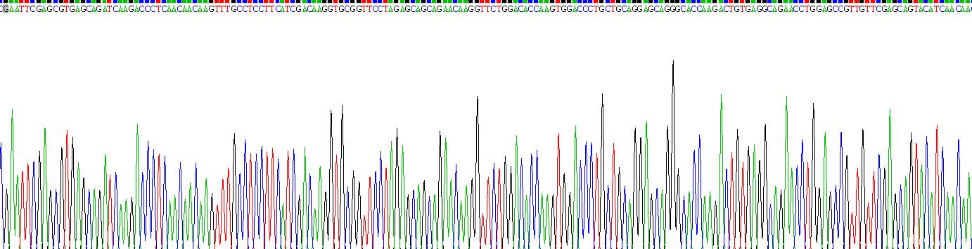 Recombinant Keratin 6C (KRT6C)
