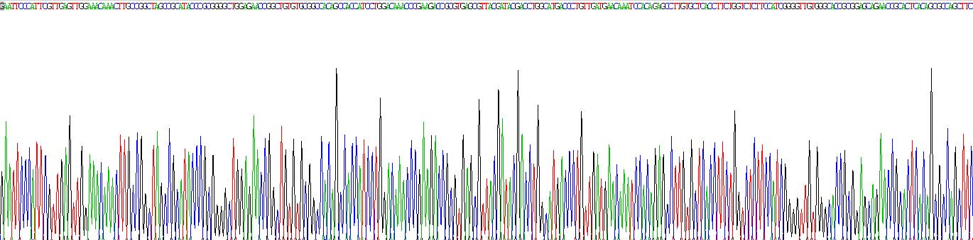 Recombinant D-Dopachrome Tautomerase (DDT)
