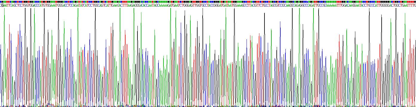 Recombinant Aspartate Aminotransferase 2 (AST2)