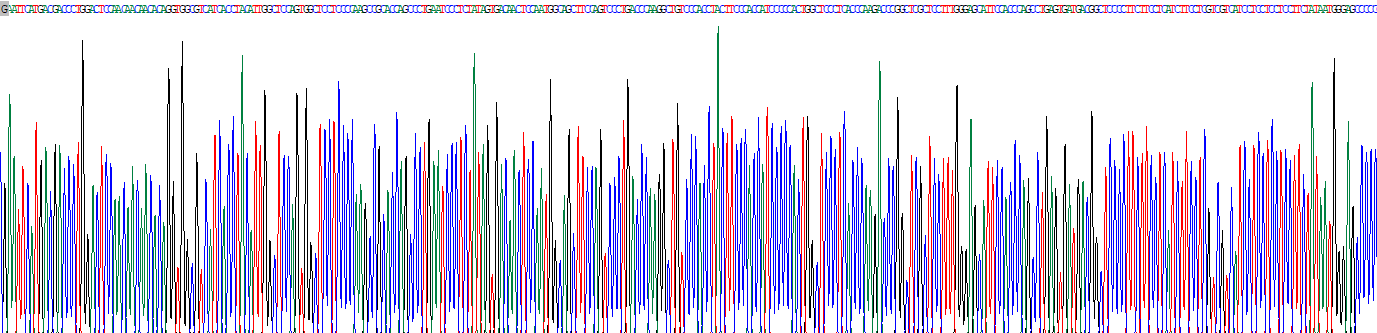 Recombinant Nuclear Receptor Subfamily 1, Group D, Member 1 (NR1D1)