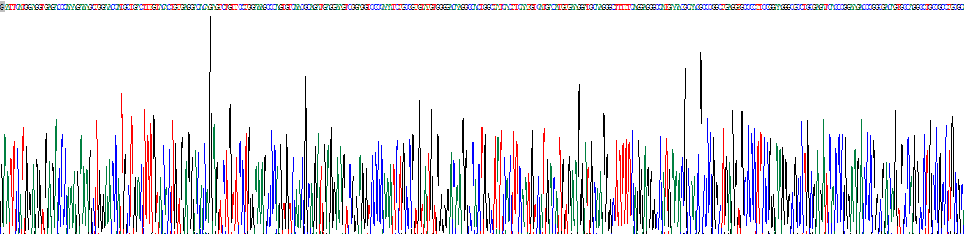 Recombinant Pregnane X Receptor (PXR)