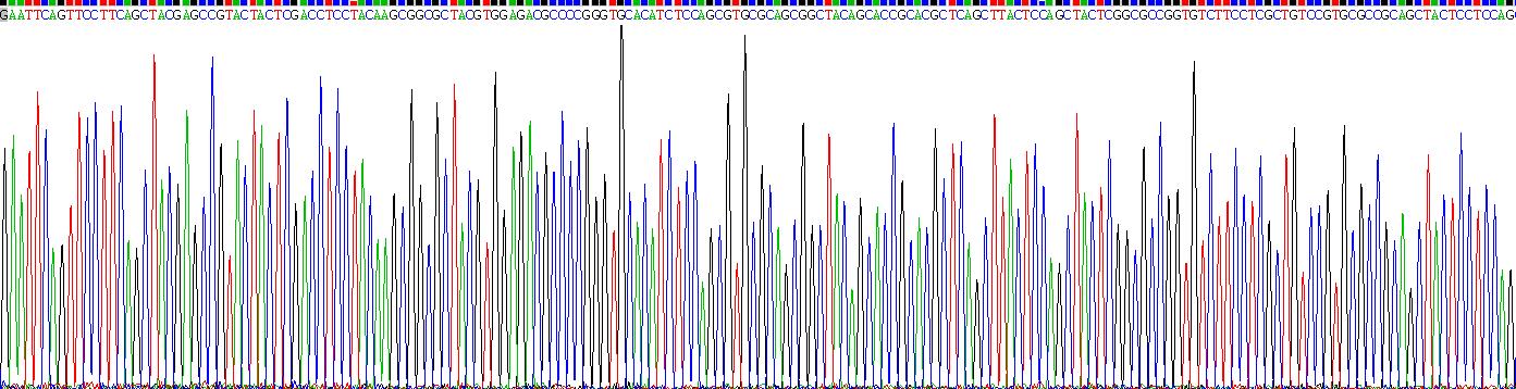 Recombinant Neurofilament, Light Polypeptide (NEFL)