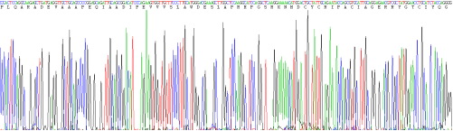 Recombinant Defensin Alpha 3, Neutrophil Specific (DEFa3)