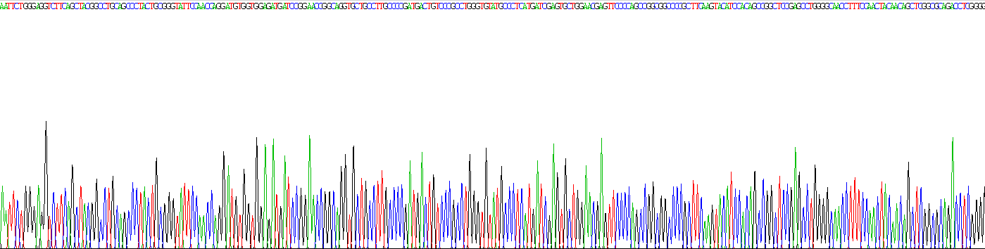 Recombinant Receptor Tyrosine Kinase Like Orphan Receptor 2 (ROR2)