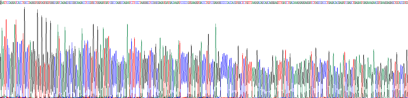 Recombinant Optic Atrophy 1, Autosomal Dominant (OPA1)