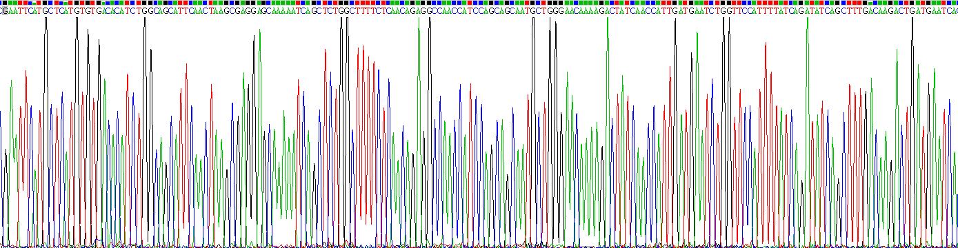 Recombinant Rac-GTPase Activating Protein 1 (RACGAP1)