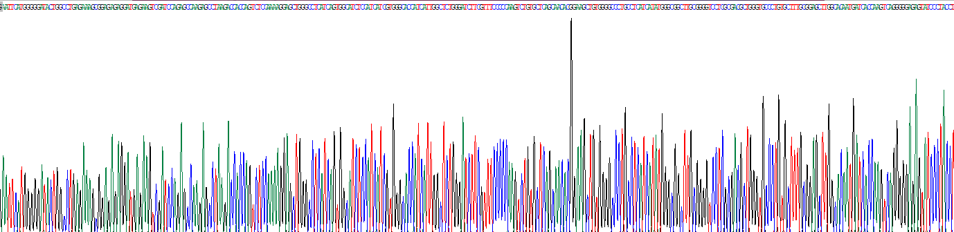 Recombinant Solute Carrier Family 7, Member 9 (SLC7A9)