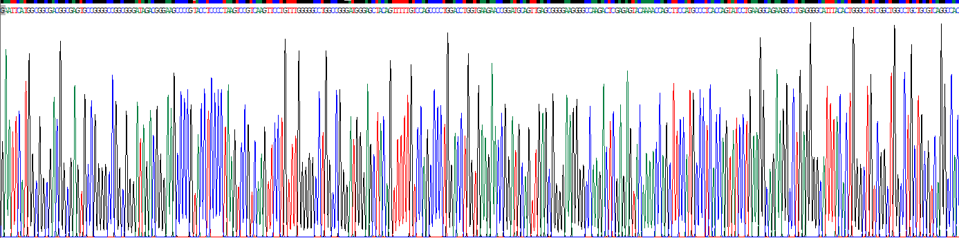 Recombinant Oxoglutarate Carrier Protein, Mitochondrial (OGC)