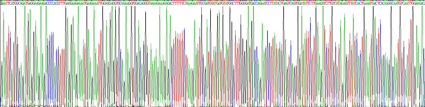 Recombinant TATA Box Binding Protein Associated Factor 13 (TAF13)