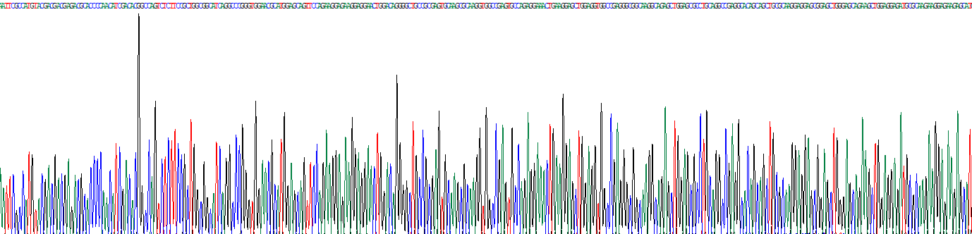 Recombinant Cell Division Cycle Protein 37 (CDC37)
