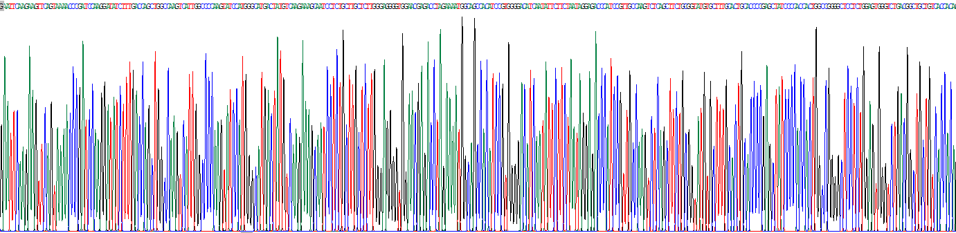 Recombinant Minichromosome Maintenance Deficient 3 (MCM3)