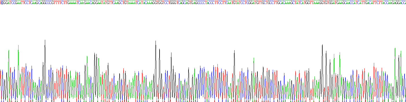 Recombinant Annexin A1 (ANXA1)