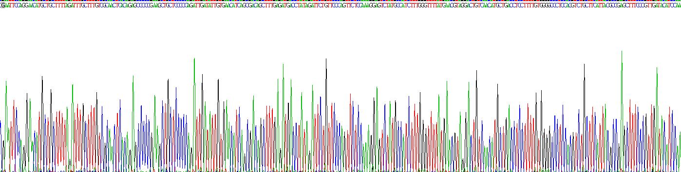 Recombinant Glutamate Receptor, Ionotropic, AMPA 1 (GRIA1)