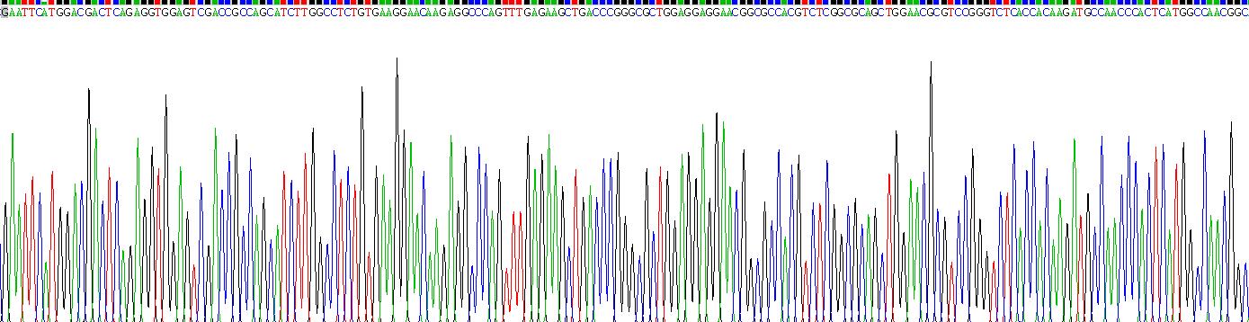Recombinant Catenin Delta 1 (CTNNd1)