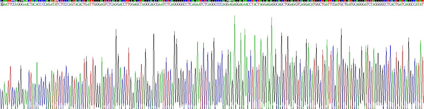 Recombinant Histone Deacetylase 6 (HDAC6)