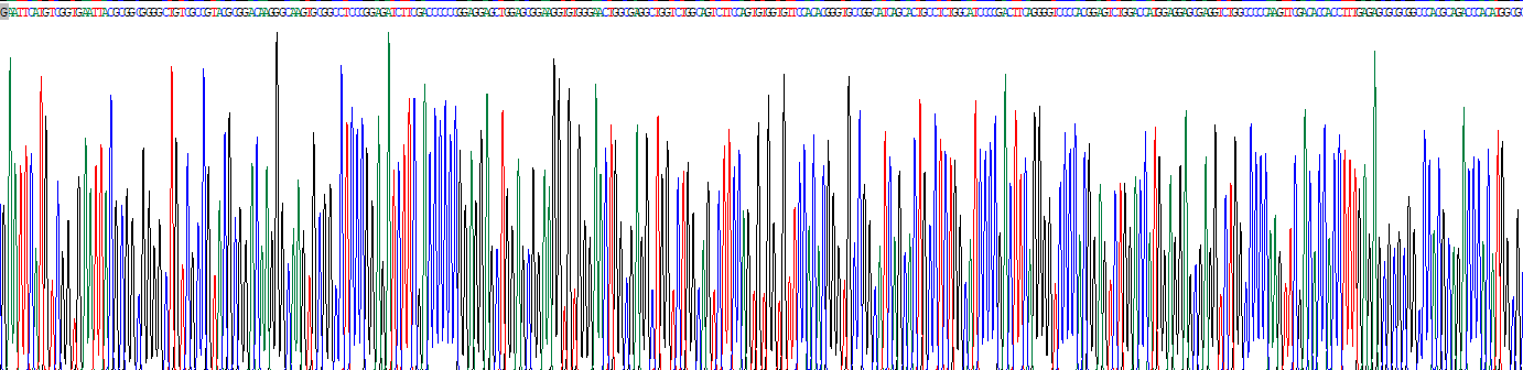 Recombinant Sirtuin 6 (SIRT6)