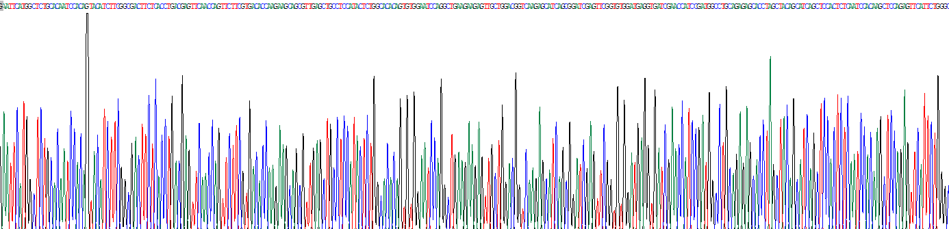 Recombinant Ubiquitin Specific Peptidase 10 (USP10)